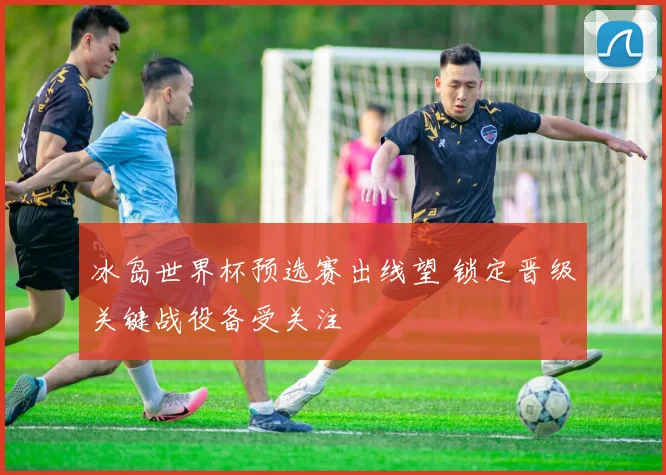 冰岛世界杯预选赛出线望 锁定晋级关键战役备受关注