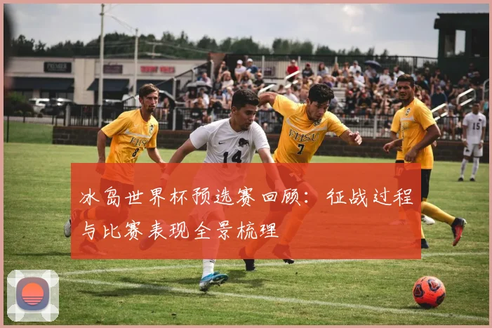 冰岛世界杯预选赛回顾:征战过程与比赛表现全景梳理